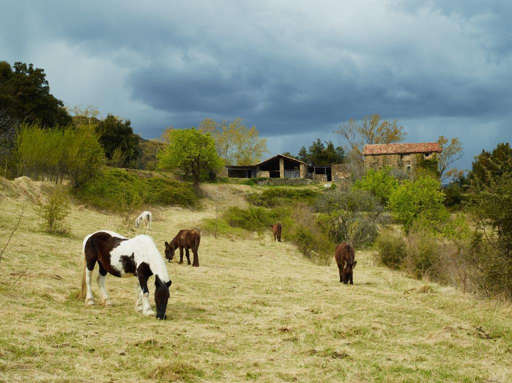 Fonda Finet Hotel 2*